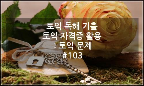 오늘의 이미지