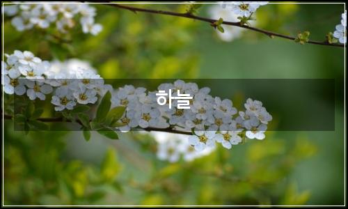 오늘의 이미지