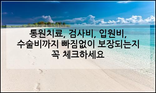 오늘의 이미지