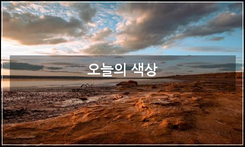오늘의 이미지