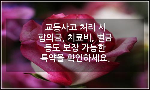오늘의 이미지