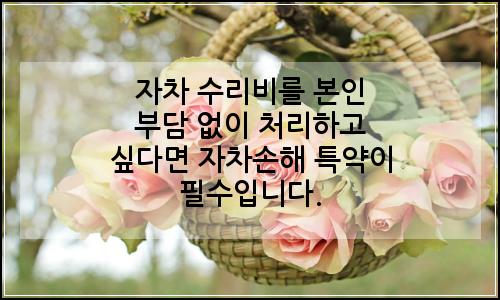 오늘의 이미지