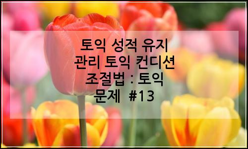오늘의 이미지