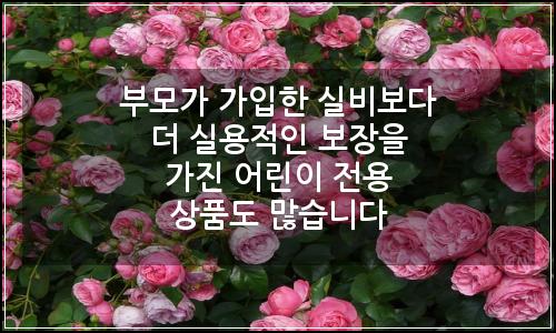 오늘의 이미지