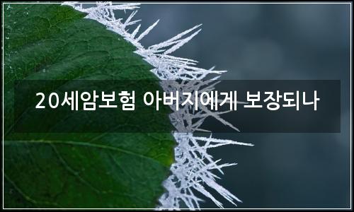 오늘의 이미지