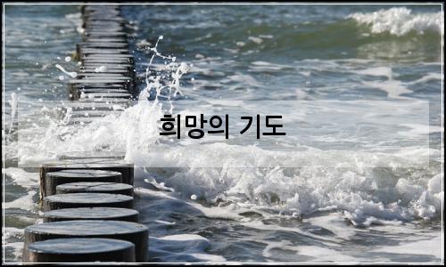 오늘의 이미지