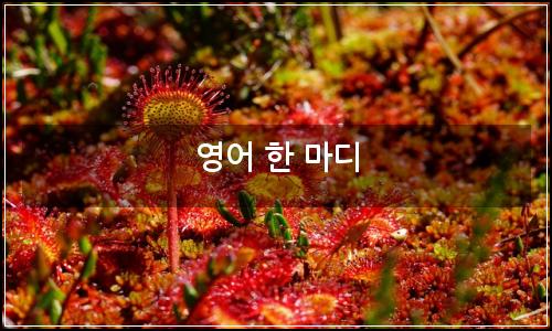 오늘의 이미지