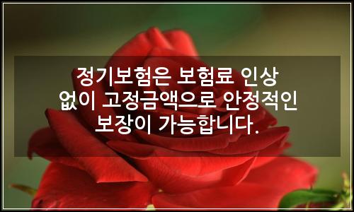 오늘의 이미지