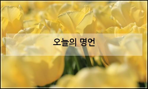 오늘의 이미지