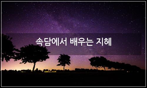 오늘의 이미지