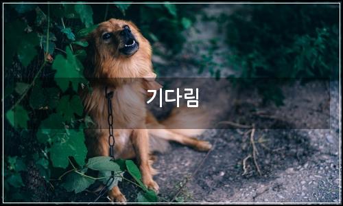 오늘의 이미지