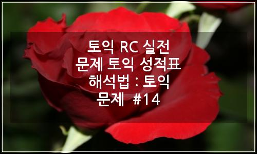 오늘의 이미지