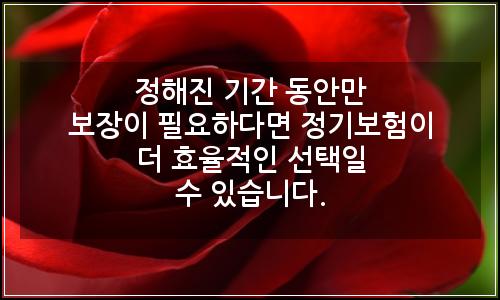 오늘의 이미지