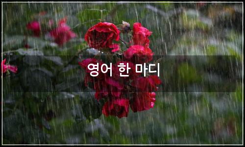 오늘의 이미지