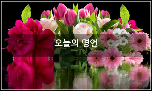 오늘의 이미지