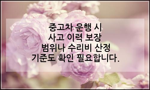 오늘의 이미지