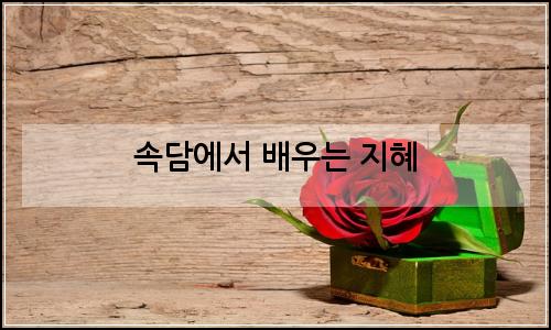 오늘의 이미지