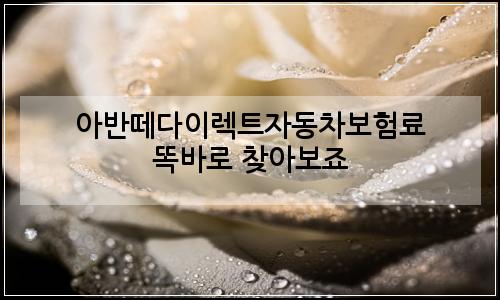 오늘의 이미지