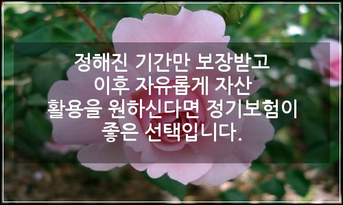 오늘의 이미지