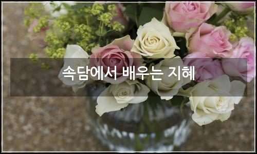 오늘의 이미지
