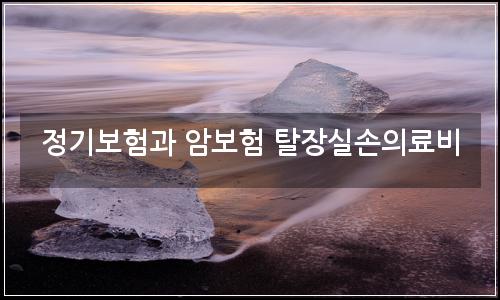 오늘의 이미지