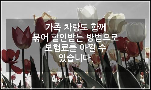 오늘의 이미지