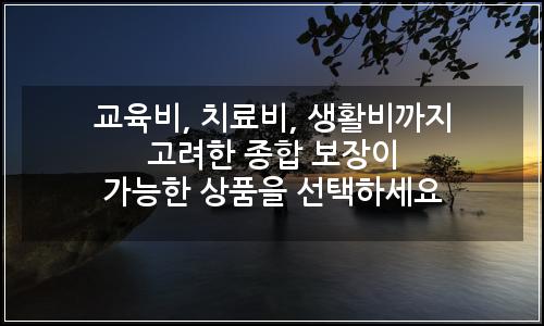 오늘의 이미지