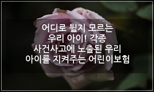 오늘의 이미지
