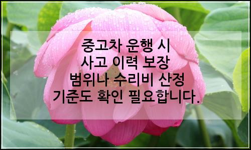 오늘의 이미지