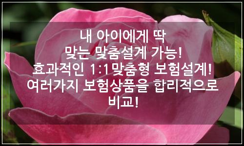 오늘의 이미지