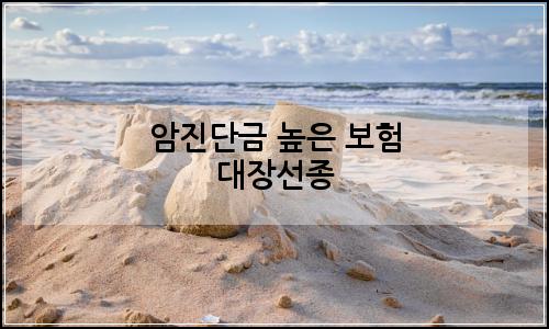 오늘의 이미지