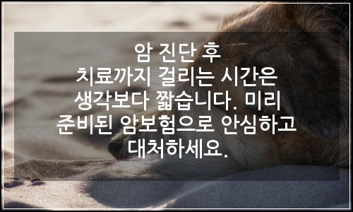 오늘의 이미지