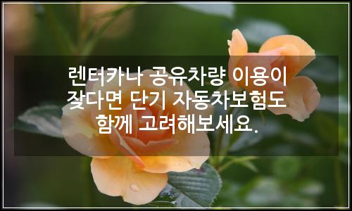 오늘의 이미지