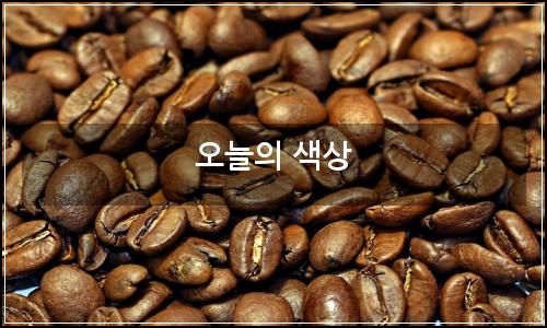 오늘의 이미지