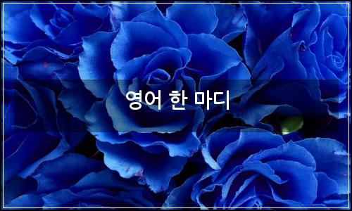 오늘의 이미지