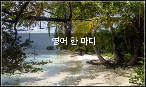 오늘의 이미지