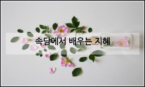 오늘의 이미지