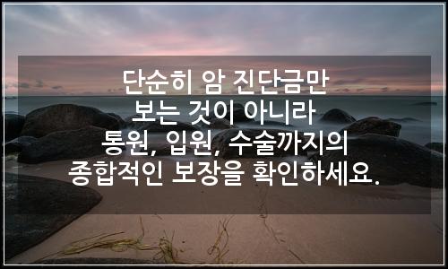 오늘의 이미지