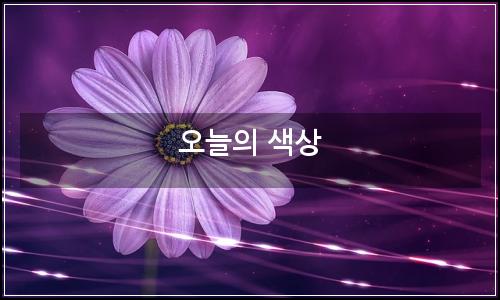 오늘의 이미지