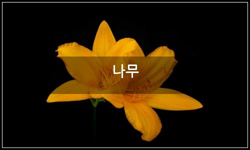 오늘의 이미지
