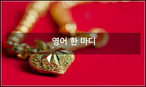 오늘의 이미지