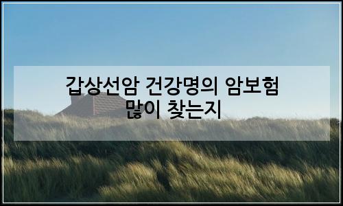 오늘의 이미지