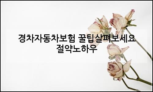 오늘의 이미지