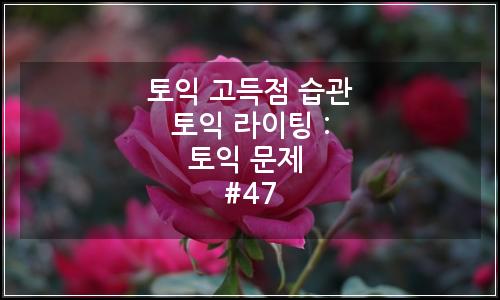 오늘의 이미지