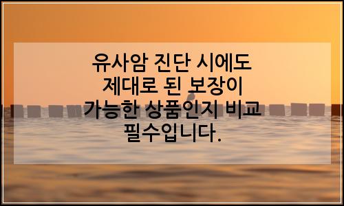 오늘의 이미지