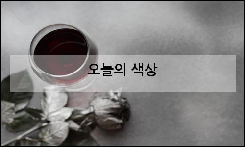 오늘의 이미지