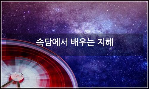 오늘의 이미지