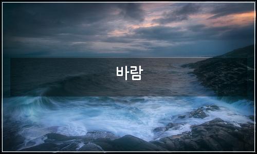 오늘의 이미지