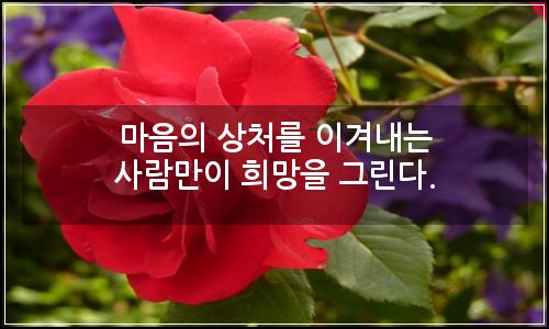오늘의 이미지