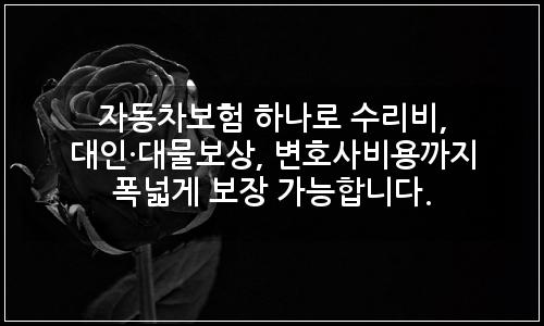 오늘의 이미지